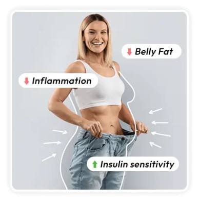 Visual explanation of how a gut focused formula supports metabolic balance